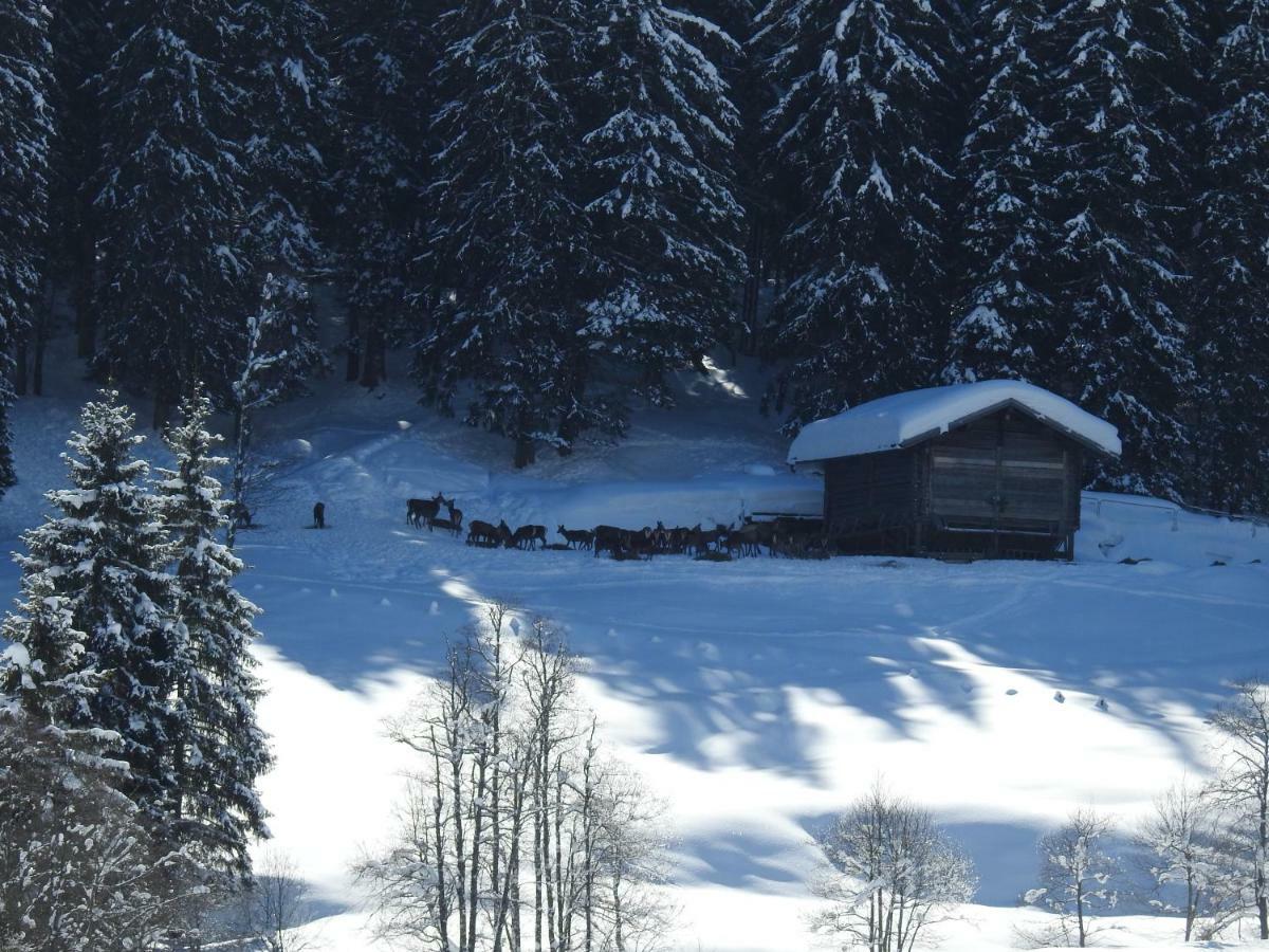 Blockhaus Ganschitter Grossarl Exterior foto